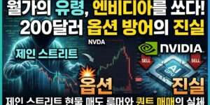 월가의 유령 엔비디아를 쏘다 200달러 옵션 방어의 진실