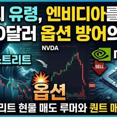 월가의 유령 엔비디아를 쏘다 200달러 옵션 방어의 진실