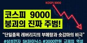 코스피 9000선 돌파 후 급락과 단일종목 레버리지 상품의 나비효과