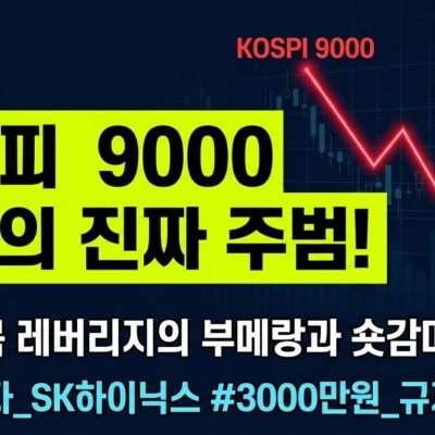 코스피 9000선 돌파 후 급락과 단일종목 레버리지 상품의 나비효과